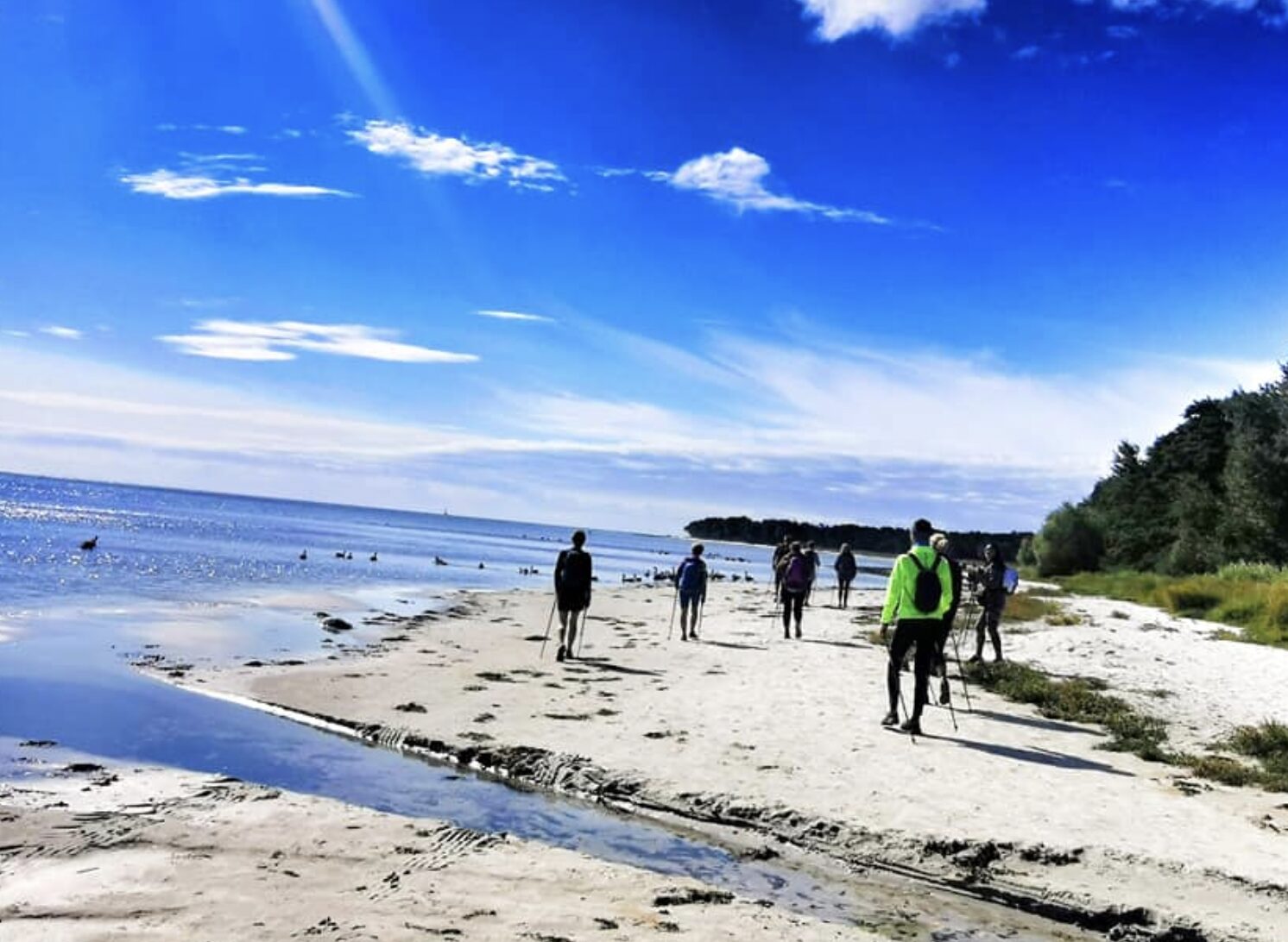 Homepage - USAMNWA 5 Nordic Walking group on the beach at sunrise
